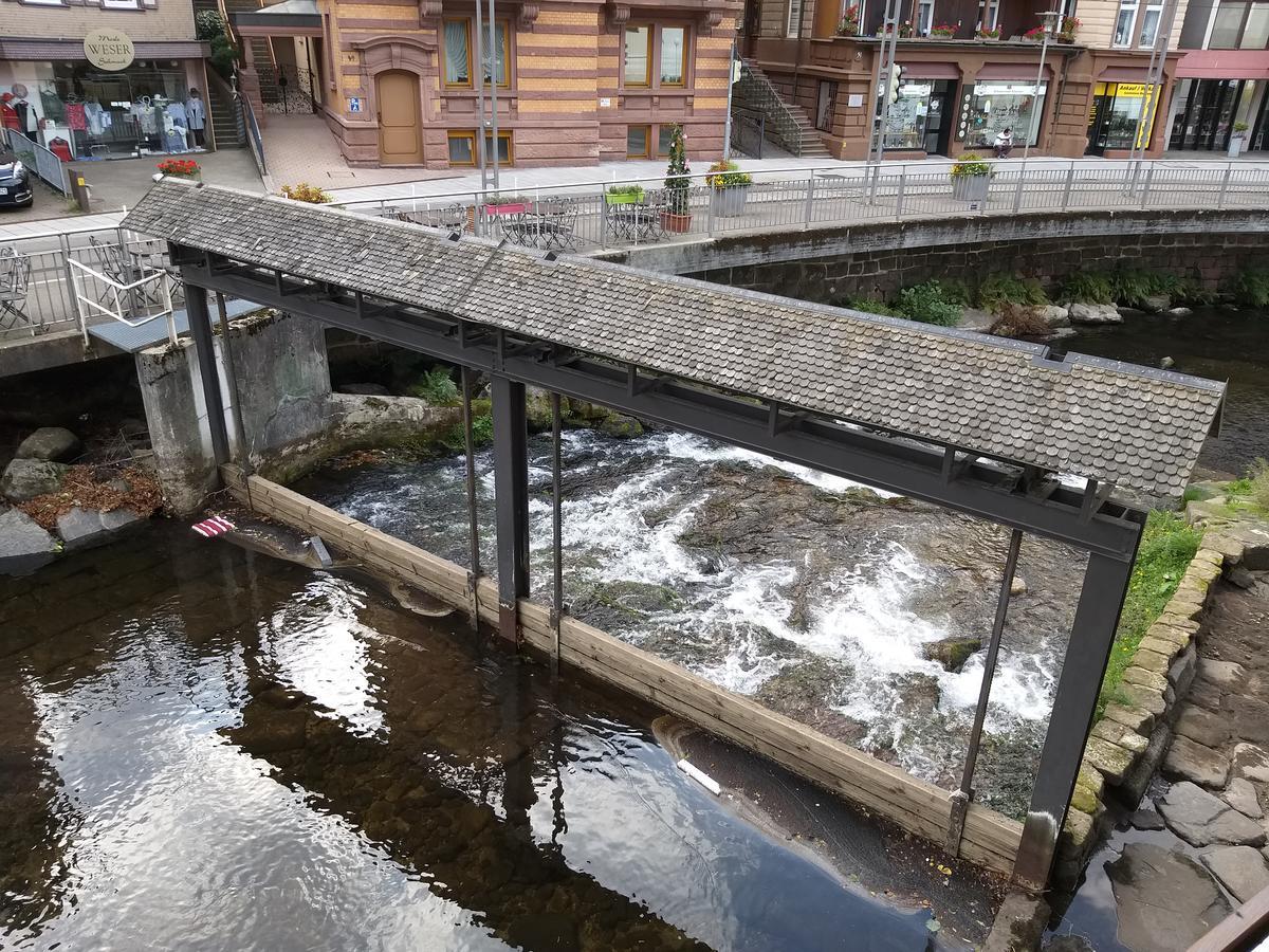 Hotel Sonne Bad Wildbad Exteriör bild
